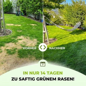 Ein geteiltes Bild zeigt eine Rasenfläche vorher links mit trockenem, lückenhaftem Gras und nachher rechts mit saftig grünem Gras und einer Hängematte. Deutscher Text: Mit dem TerraUno Hazy MornRasendünger - Sparabo wird Ihr Rasen in nur 14 Tagen saftig grün.